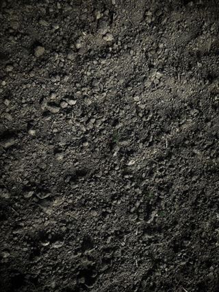 All You Need to Know About Perlite: the Versatile Growing Medium